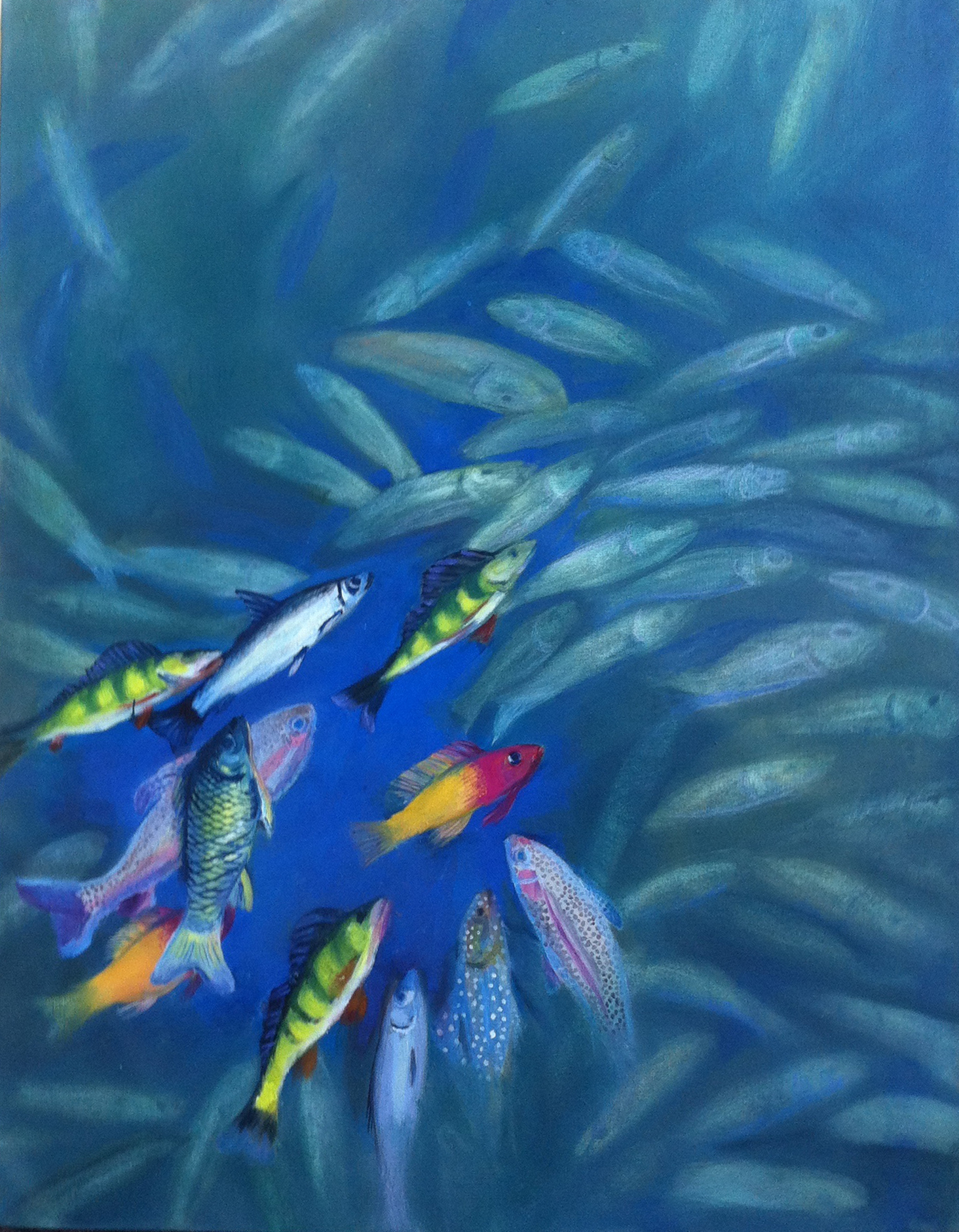 Vibrant fish in ocean scene